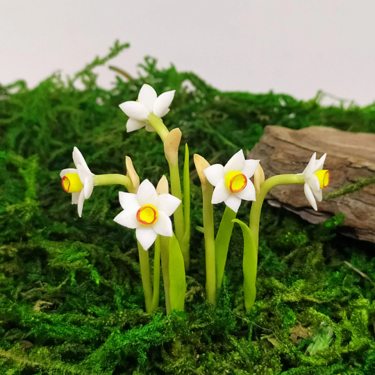 Miniature Flowers