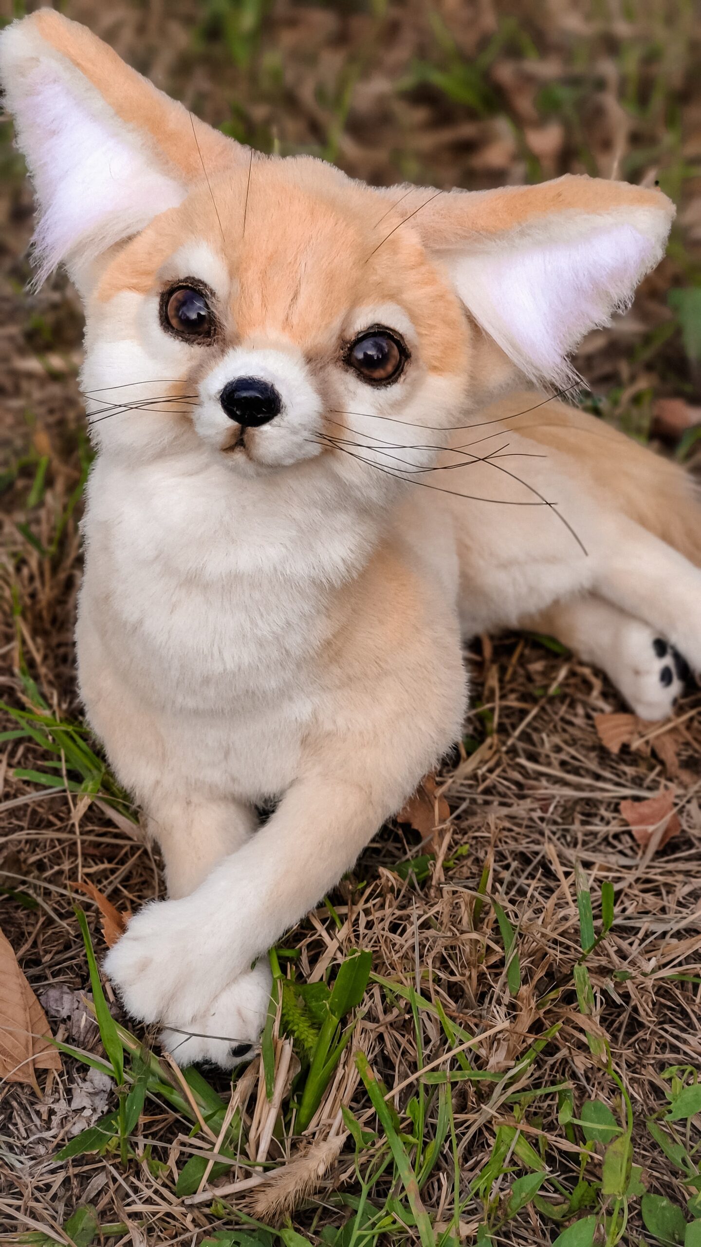 Realistic fennec fox stuffed animal - DailyDoll Shop