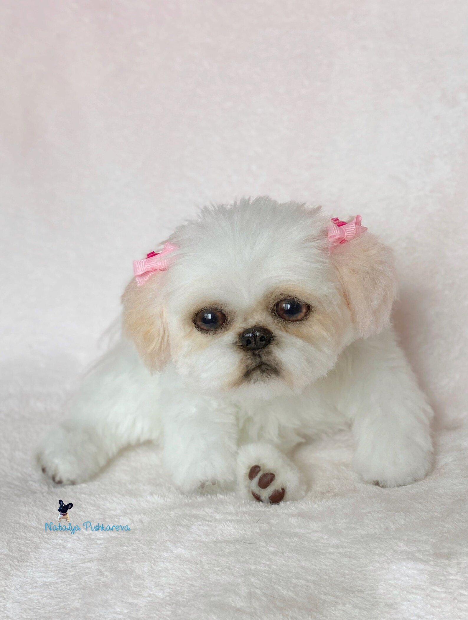 Custom order realistic toy Dog shih tzu - DailyDoll Shop