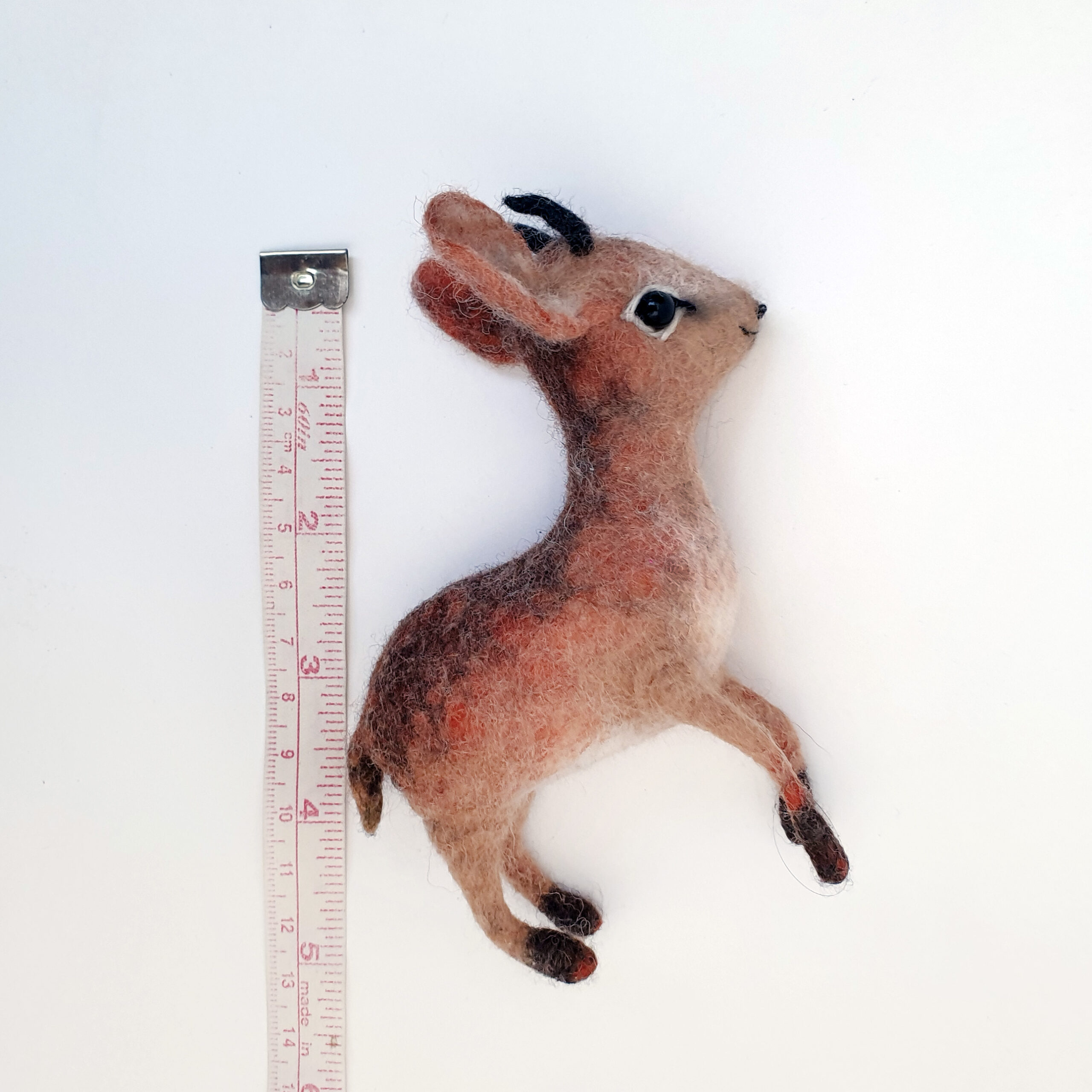 Animaux surprenants : le dik-dik, une antilope format miniature