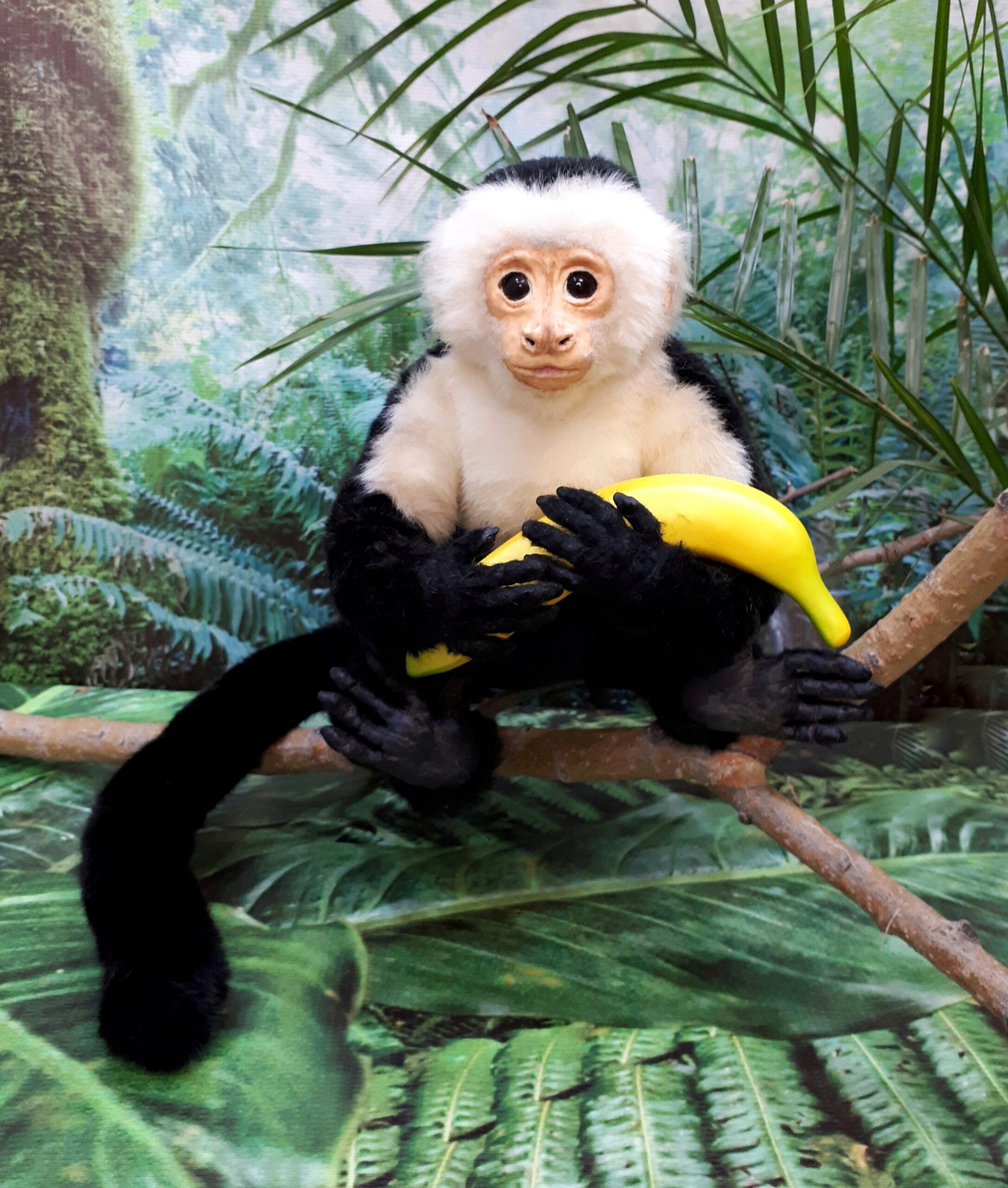 capuchin monkey doll