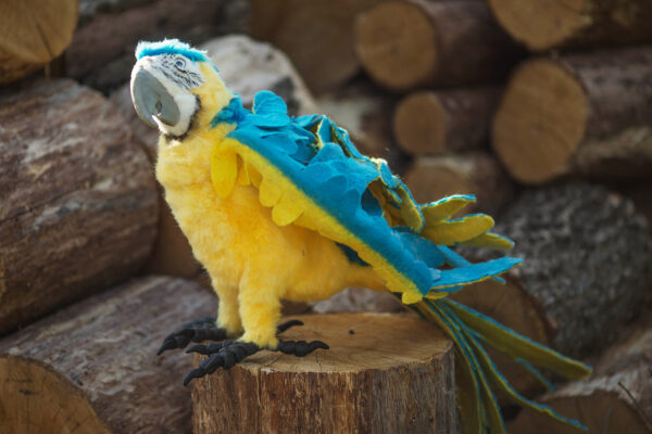 Macaw Parrot Dailydoll Shop