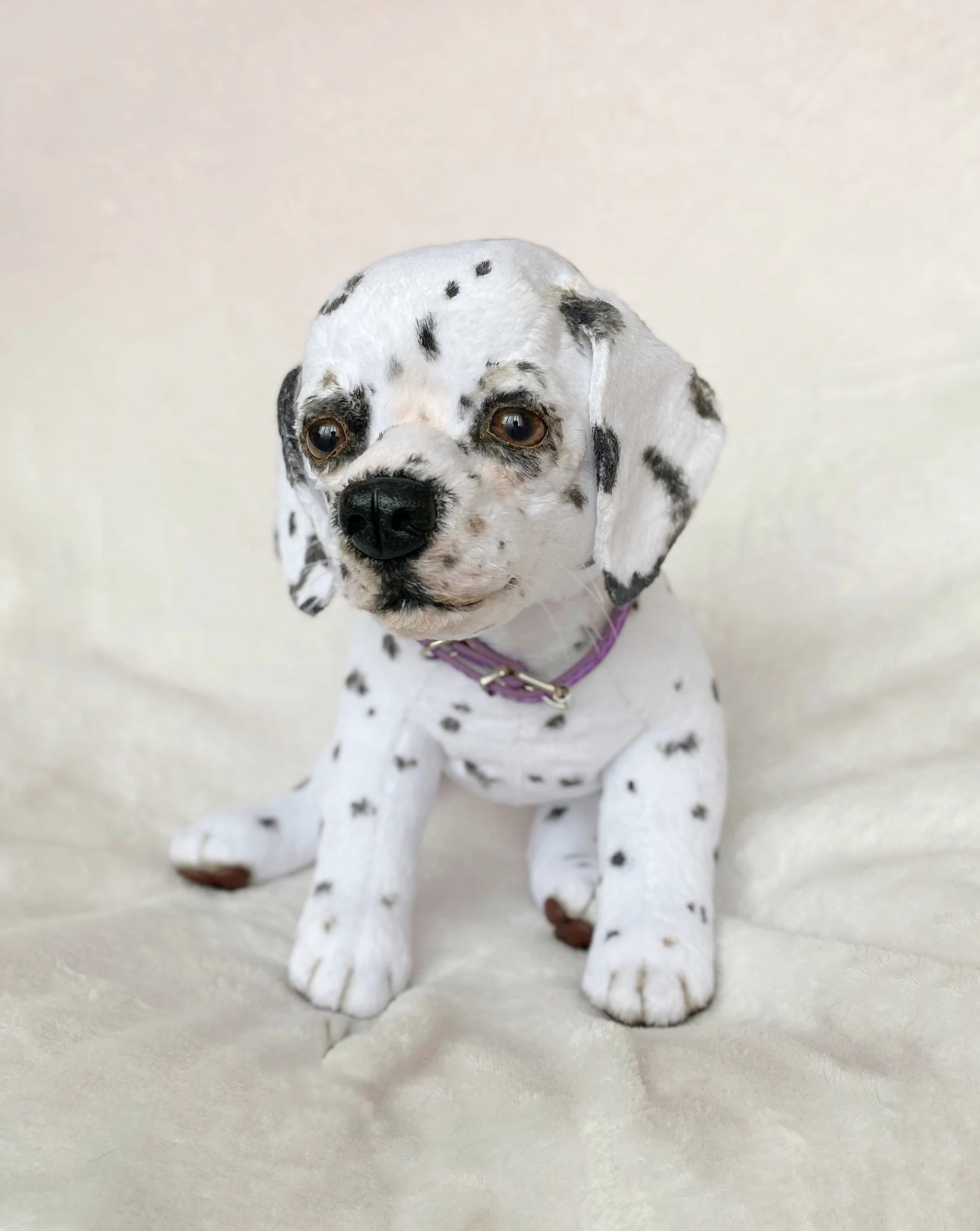 Custom order realistic toy Dog shih tzu - DailyDoll Shop