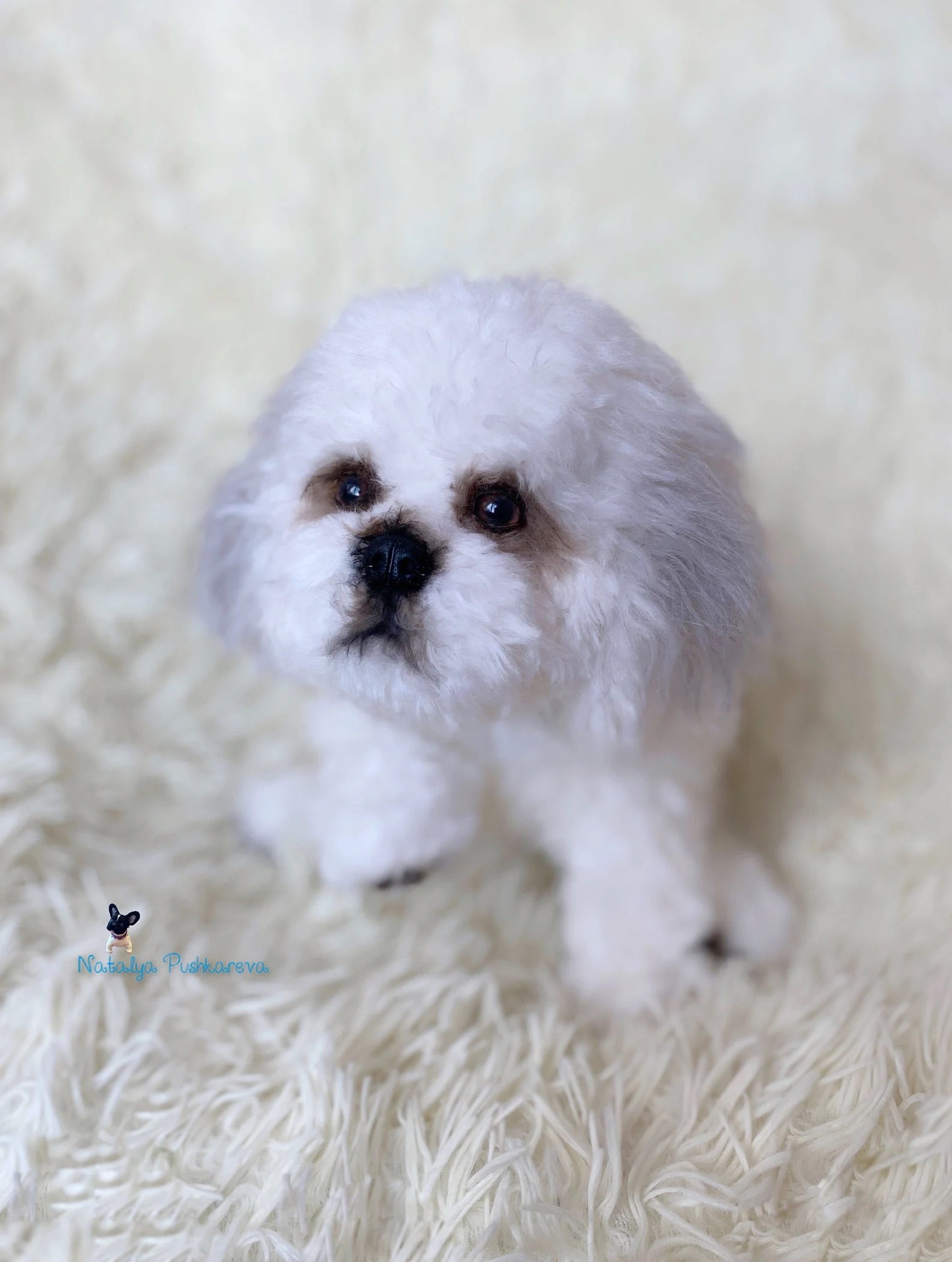 Custom order realistic toy Dog shih tzu - DailyDoll Shop