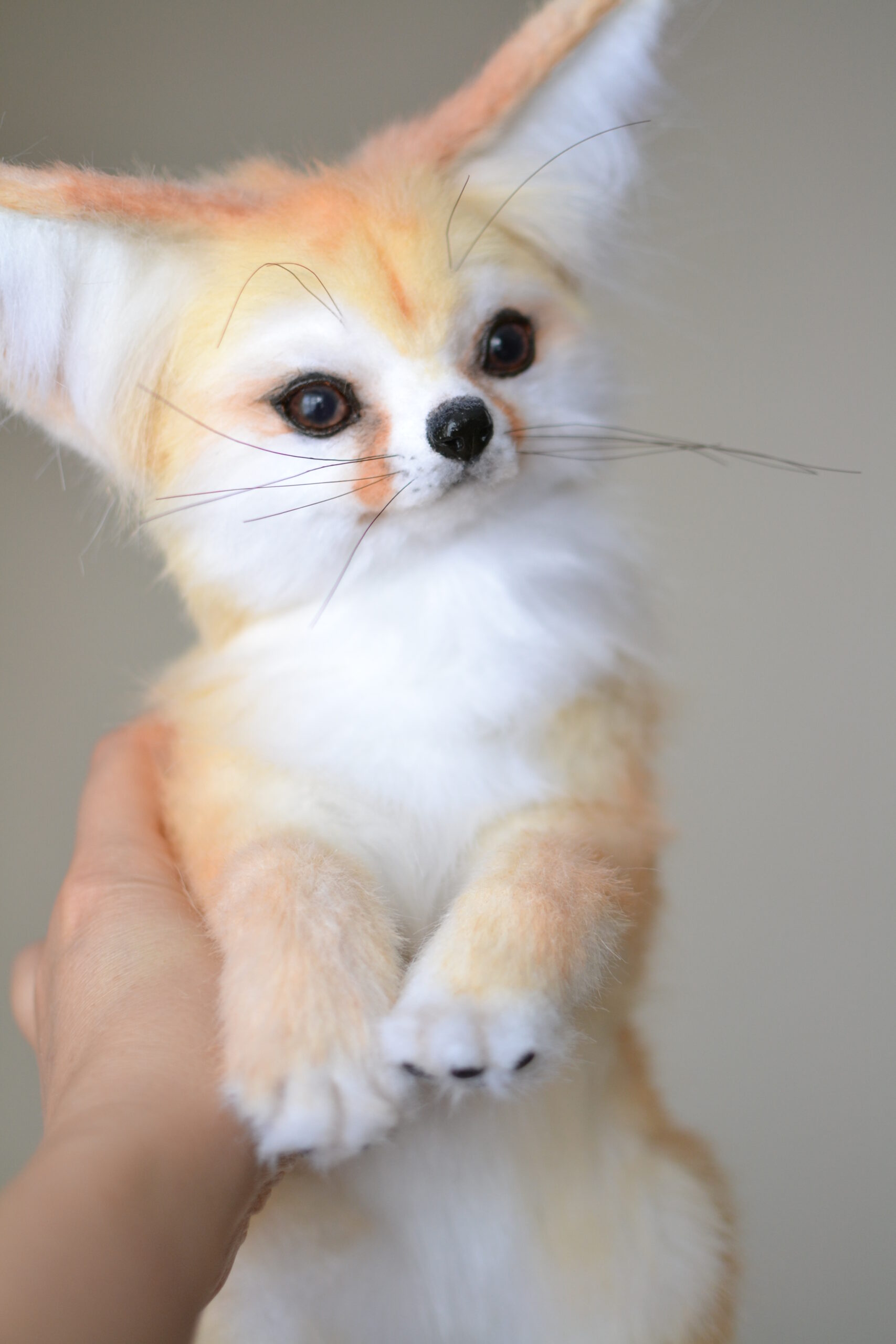 Realistic fennec fox stuffed animal. MADE TO ORDER! - DailyDoll Shop