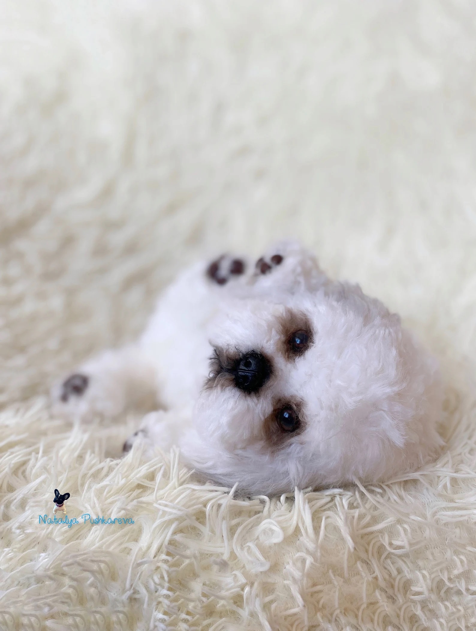 Custom order realistic toy Dog shih tzu - DailyDoll Shop