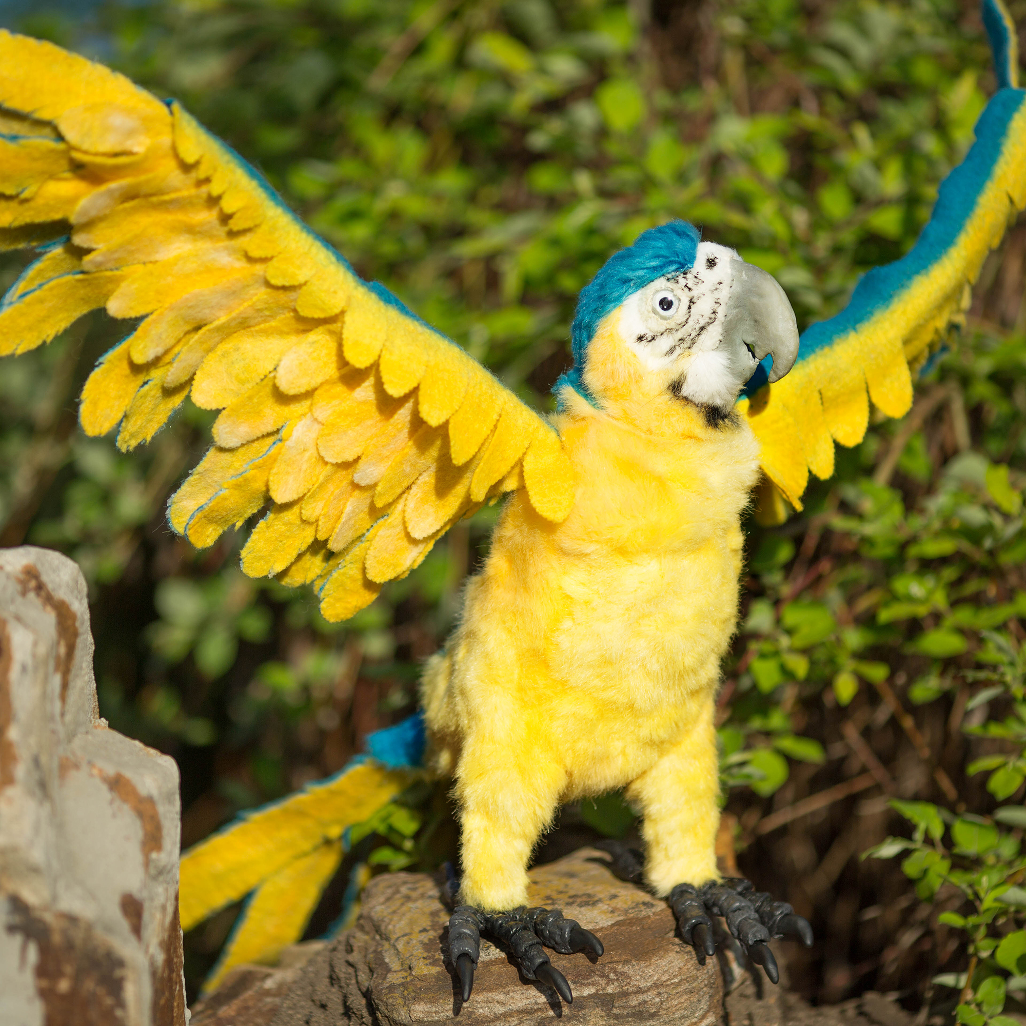 Macaw Parrot Dailydoll Shop