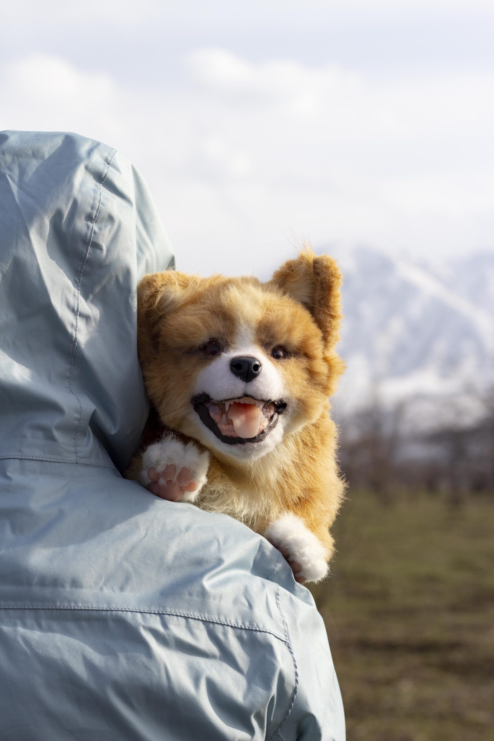 pembroke welsh corgi plush toy