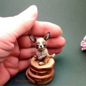 miniature chihuahua