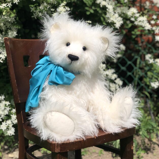 Amazing teddy
