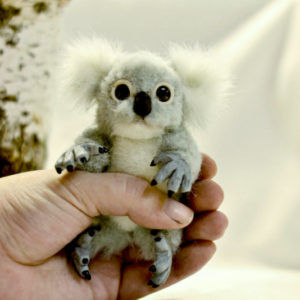 Tiny koala