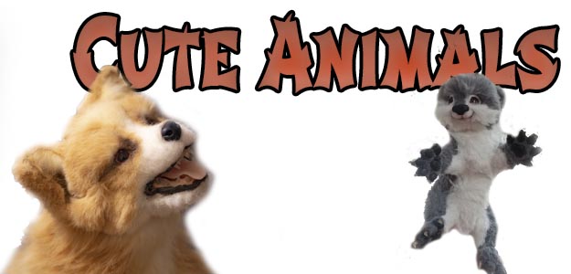 CuteAnimals