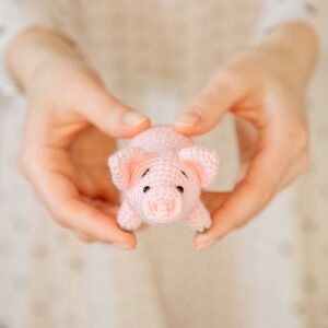 crochet pig