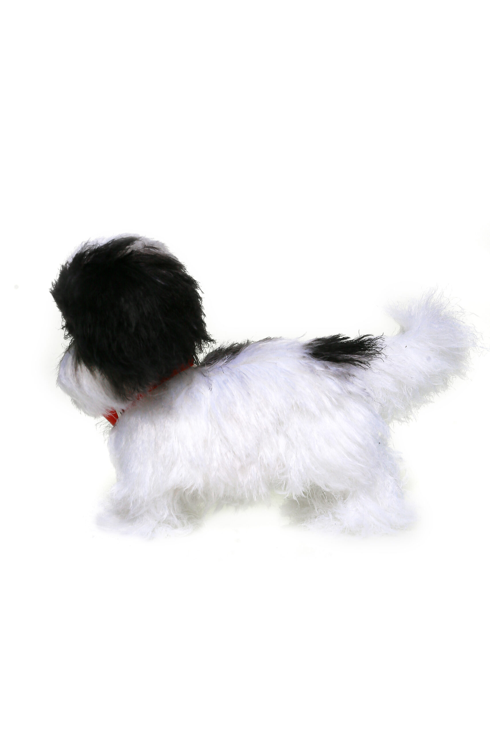 Custom order realistic toy Dog shih tzu - DailyDoll Shop