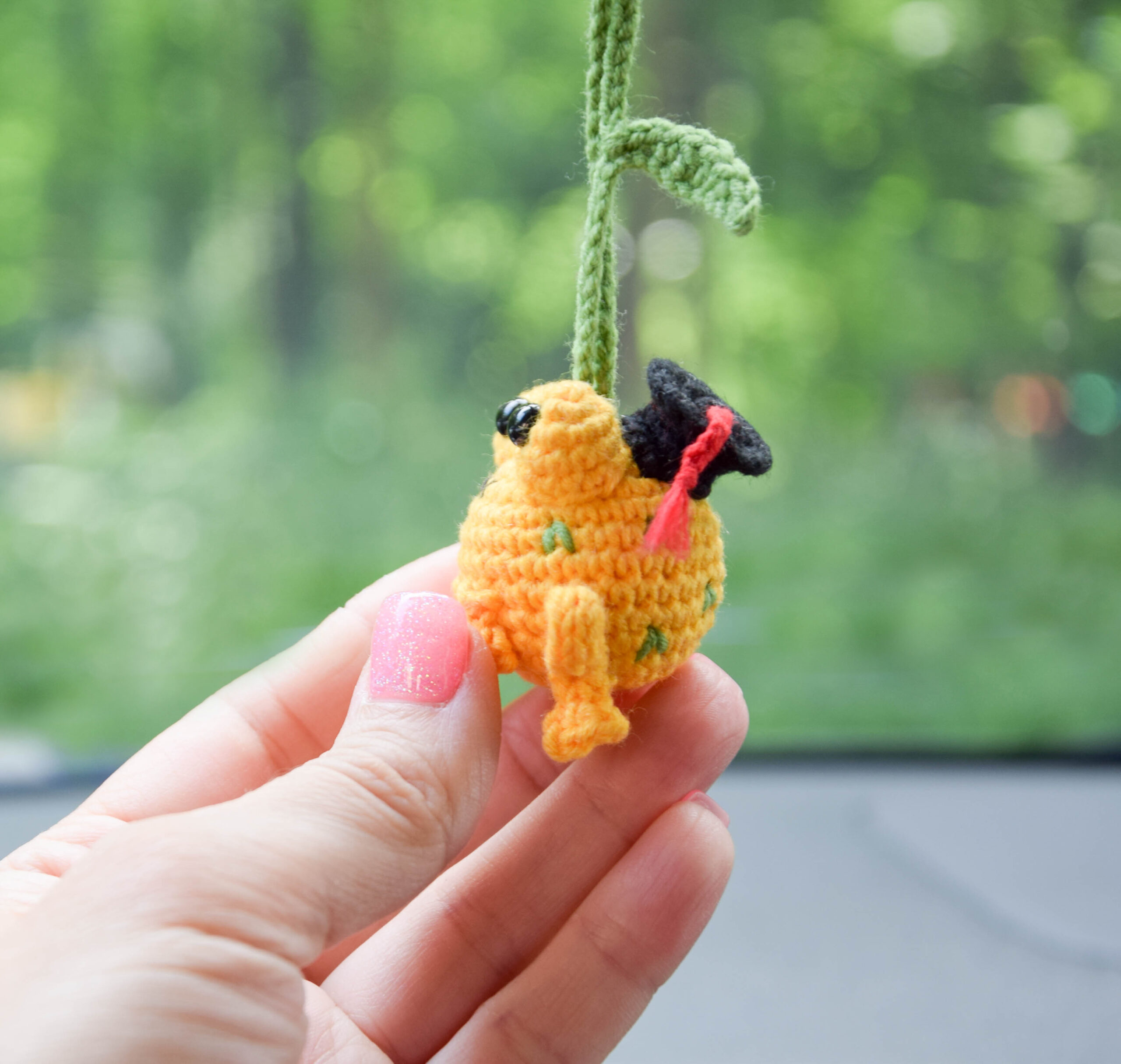 graduation frog gift, graduate 2024 gift idea car decor 4 6 174 scaled