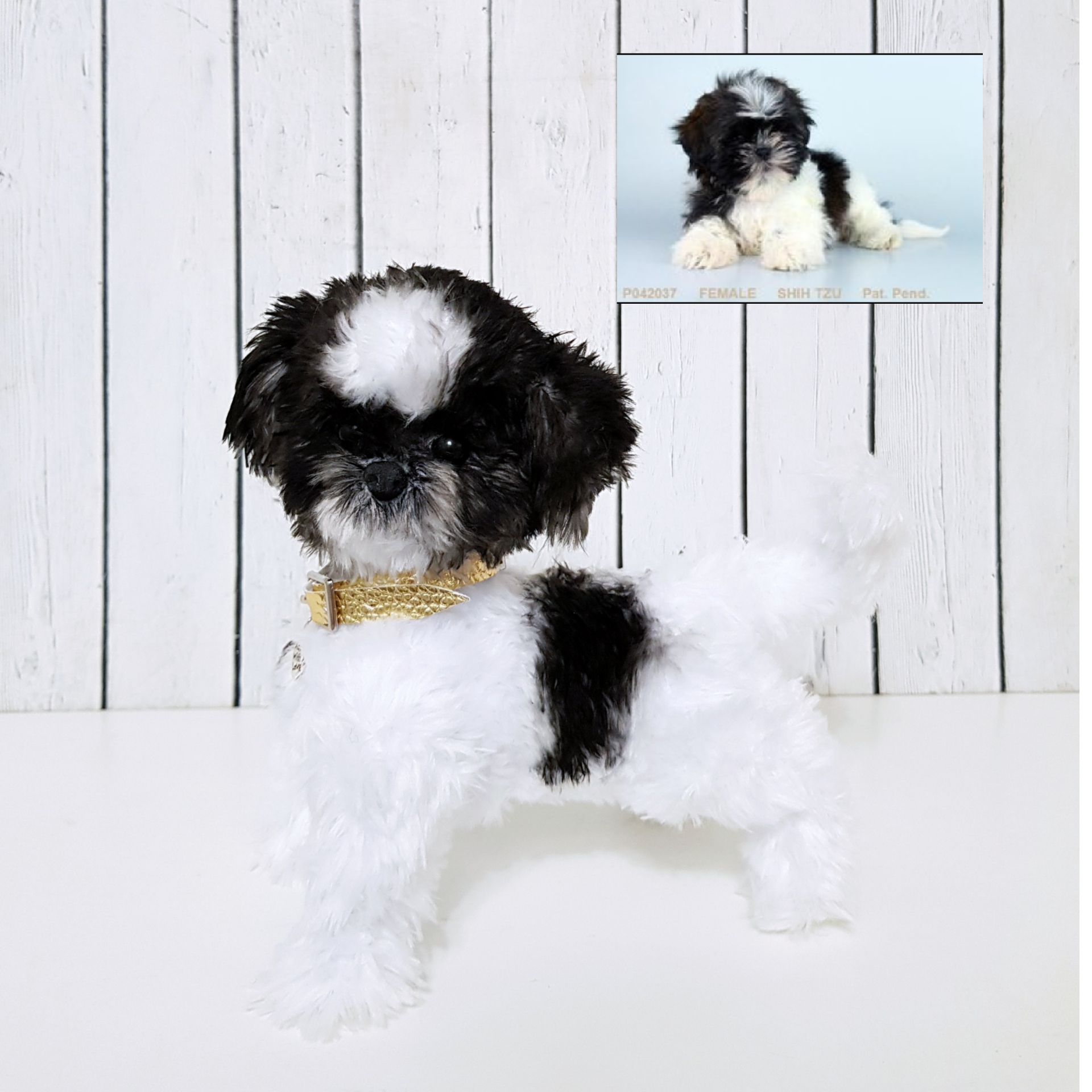 Custom order realistic toy Dog shih tzu - DailyDoll Shop