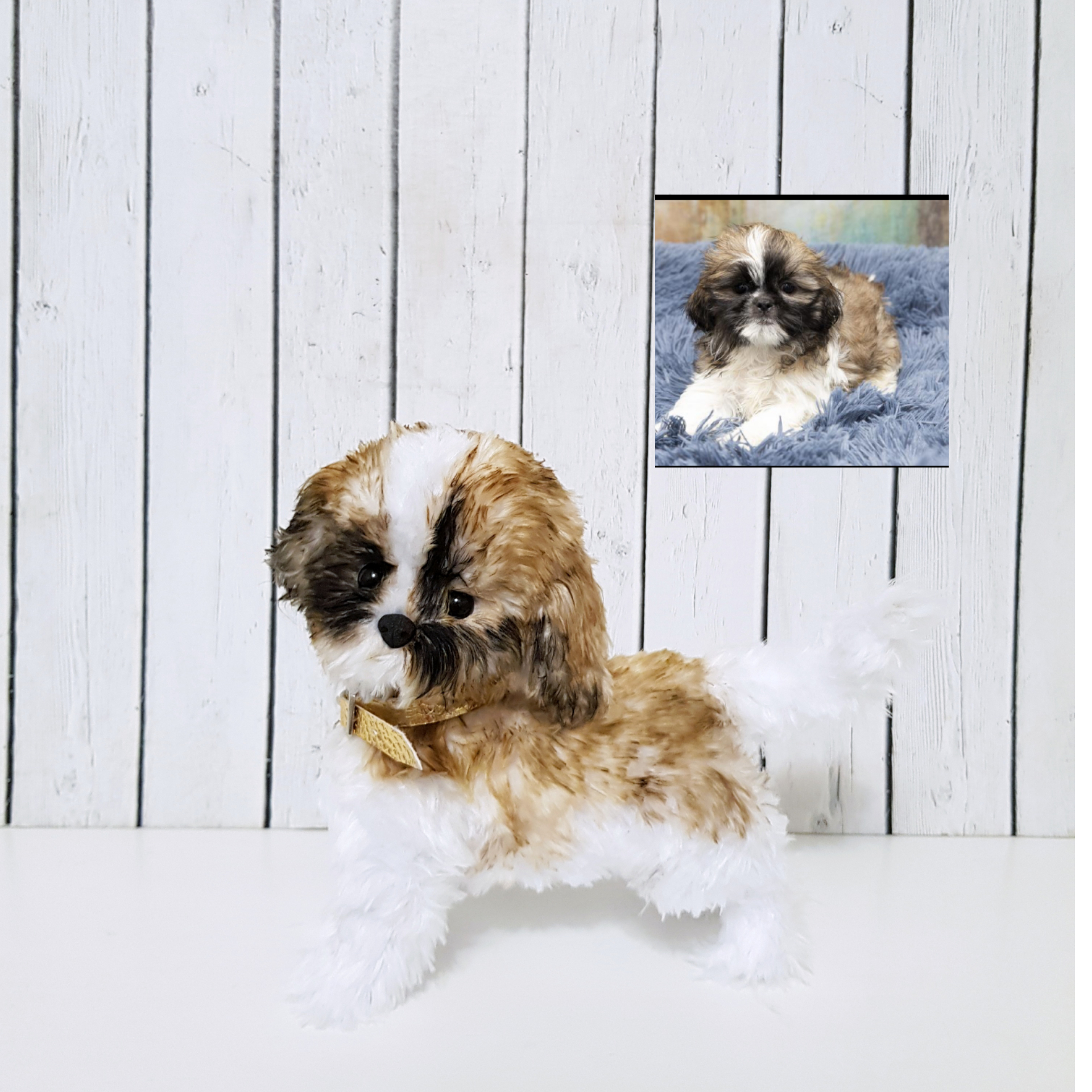 Custom order realistic toy Dog shih tzu - DailyDoll Shop