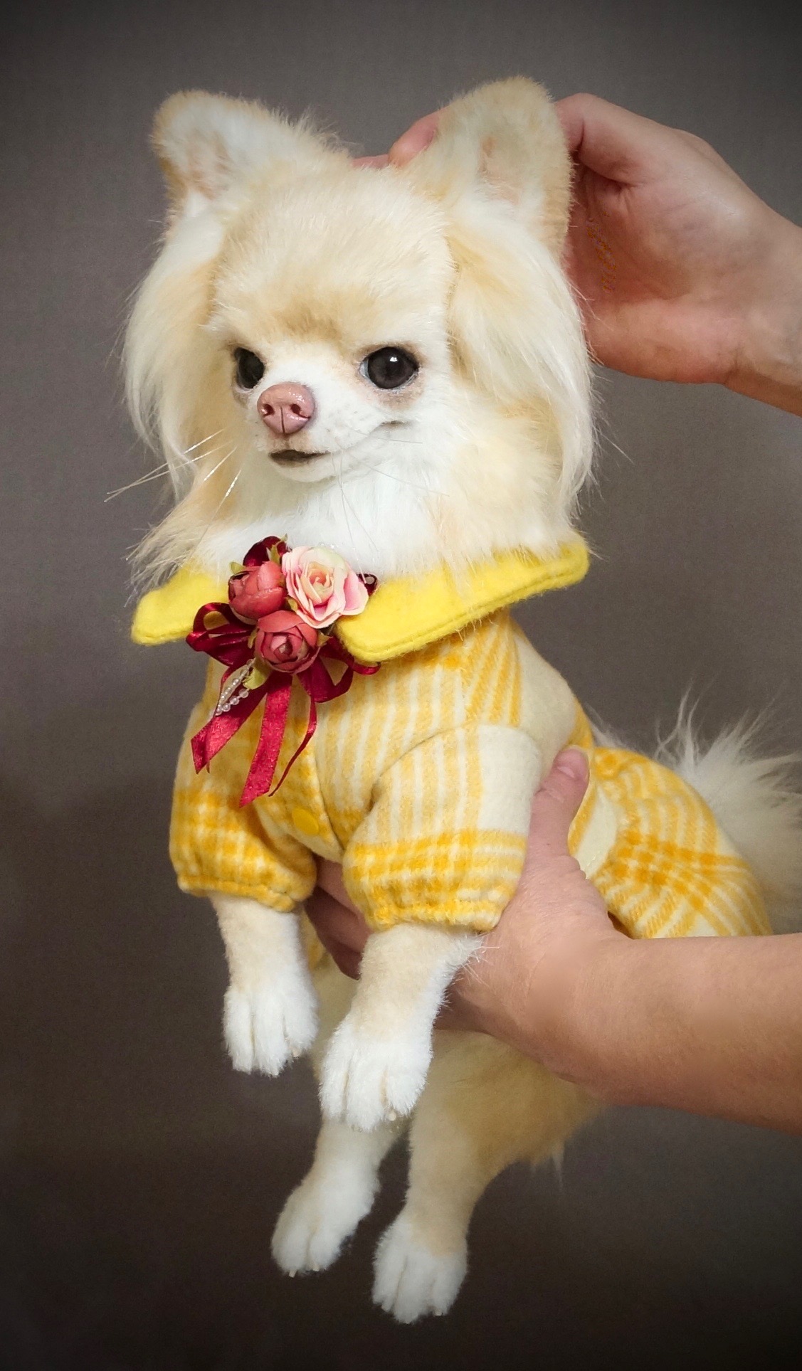 long haired chihuahua plush