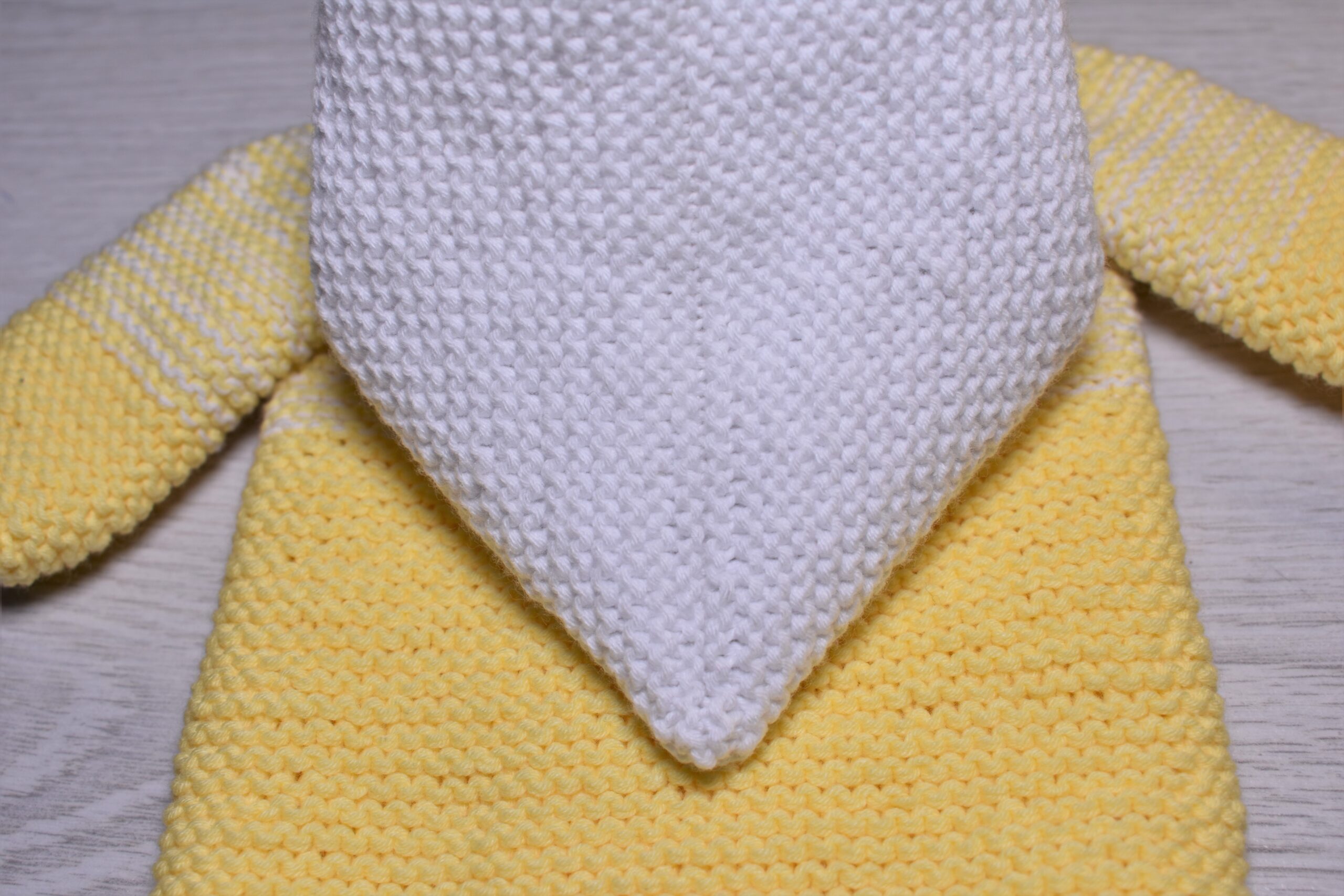 Corolle Calin 12-inch Baby Doll Knitting pattern PDF 4 DSC 0608 scaled