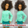 Sweater and skirt for Barbie doll.