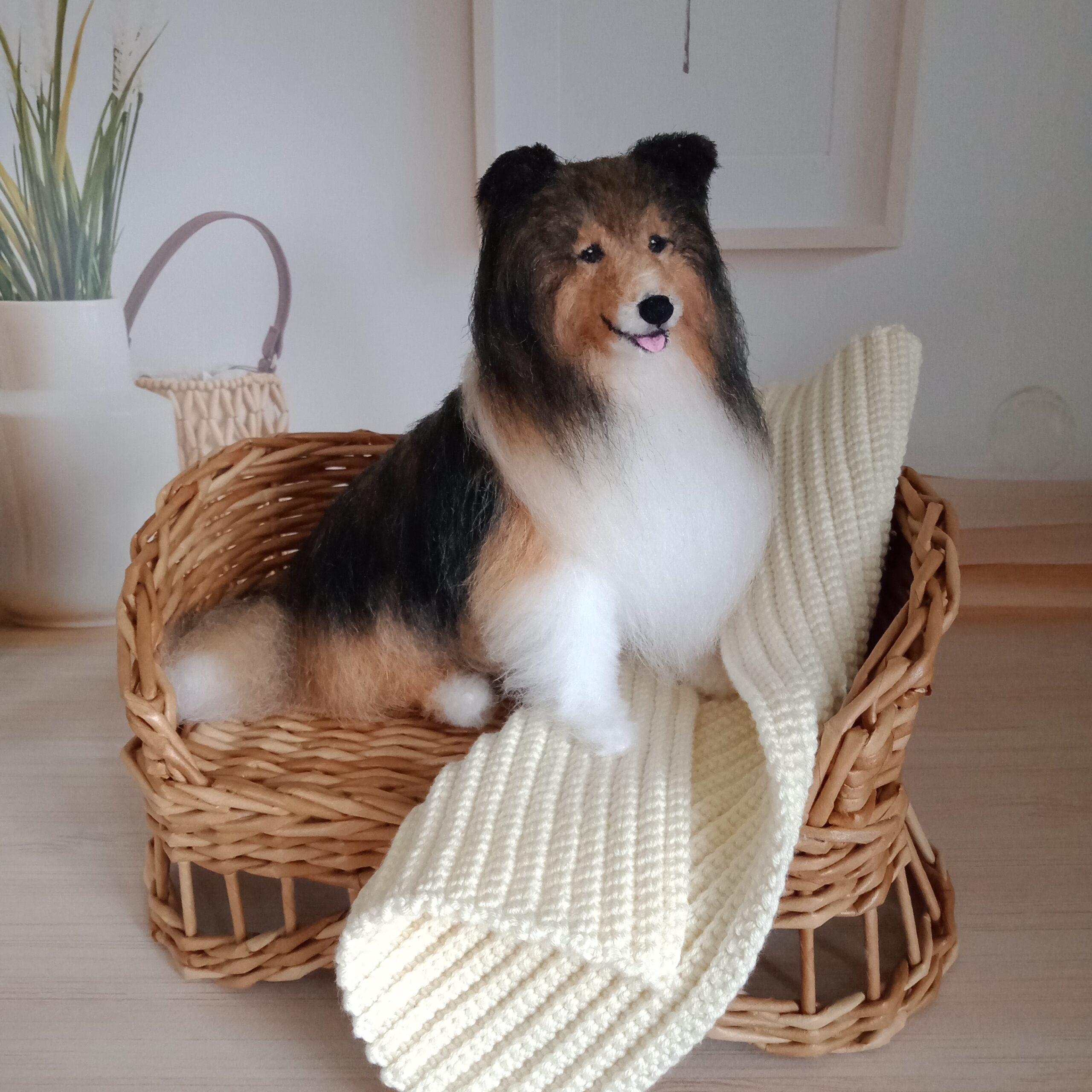 Toy sheltie outlet size