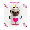 PUGnicorn crochet pattern PDF in English