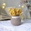 Crochet flower pot pattern