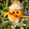 Chicken toy knitting pattern