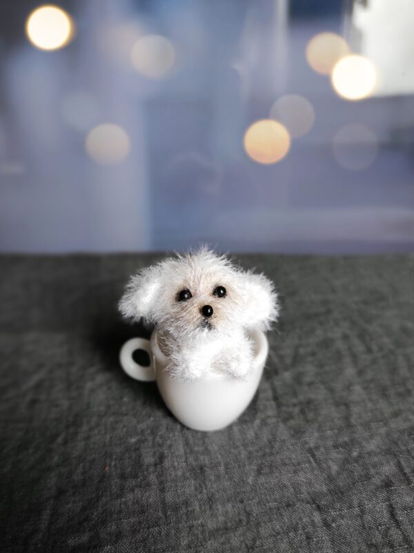 cute fluffy miniature puppy in a cup