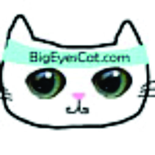 BigEyesCat