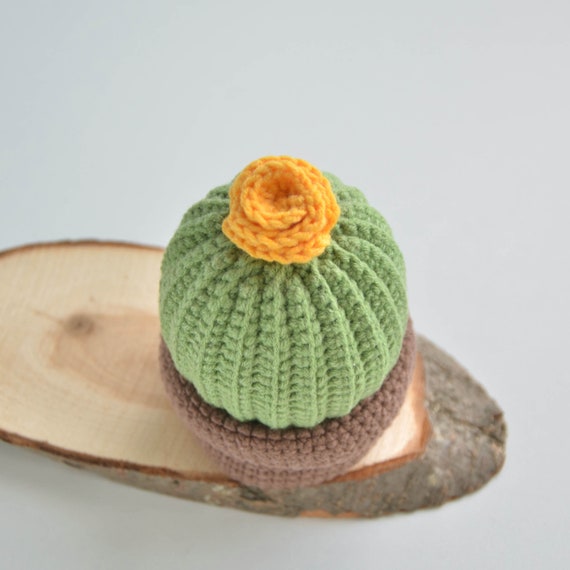 Amigurumi pattern mini cactus flower pot crochet décor 4 Amigurumi pattern mini cactus flower pot crochet décor
