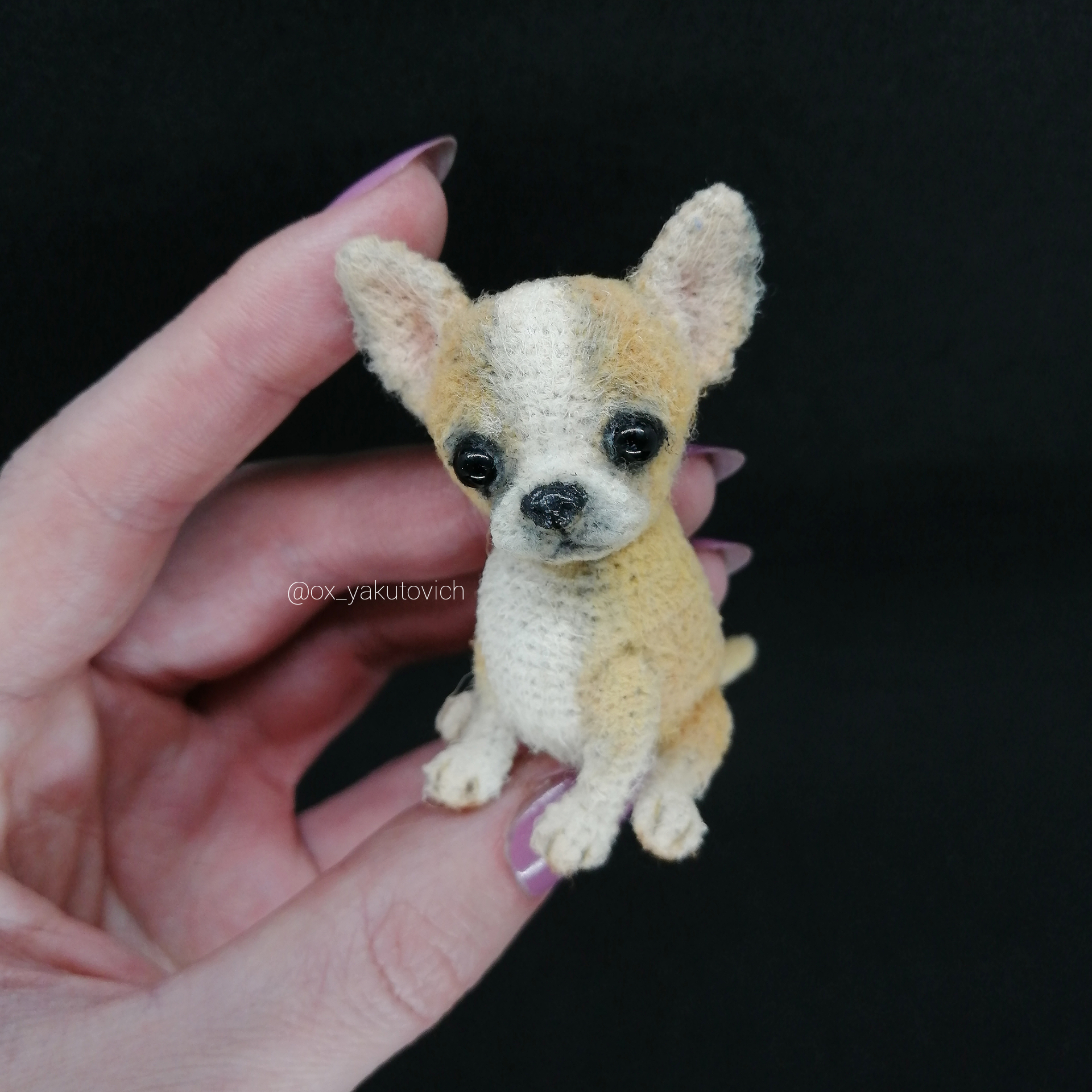 crocheted chihuahua dog gift souvenir small cute realistic 1