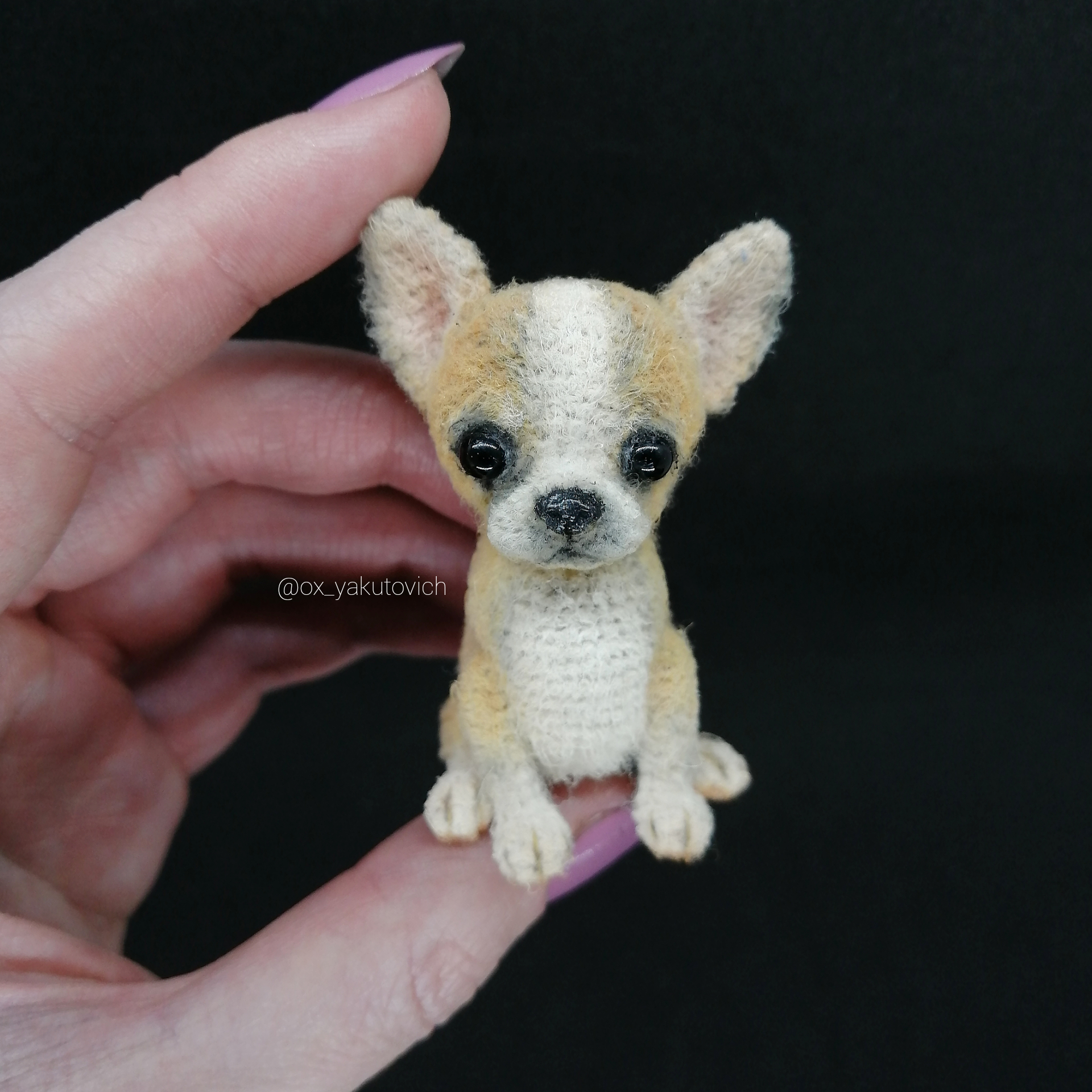 crocheted chihuahua dog gift souvenir small cute realistic 1