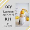 lemon gnome kit