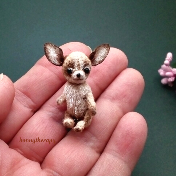 tiny chihuahua 4