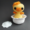 Duck in the shell