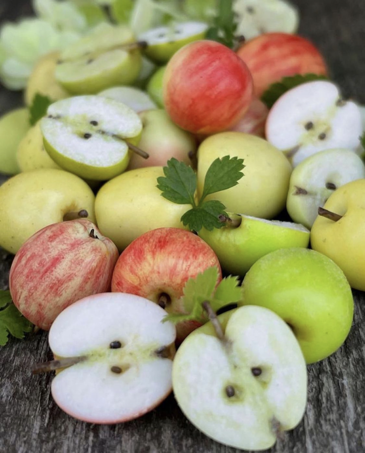 Miniature fake apples. Miniature fruits. Video tutorial. 2 5A02DBB7 447C 4944 95B0 25FAD456DCF3