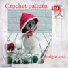 Amigurumi The Cat in the hood. Crochet pattern PDF. Tutorial.