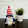 Patriotic gnome.Flag gnome