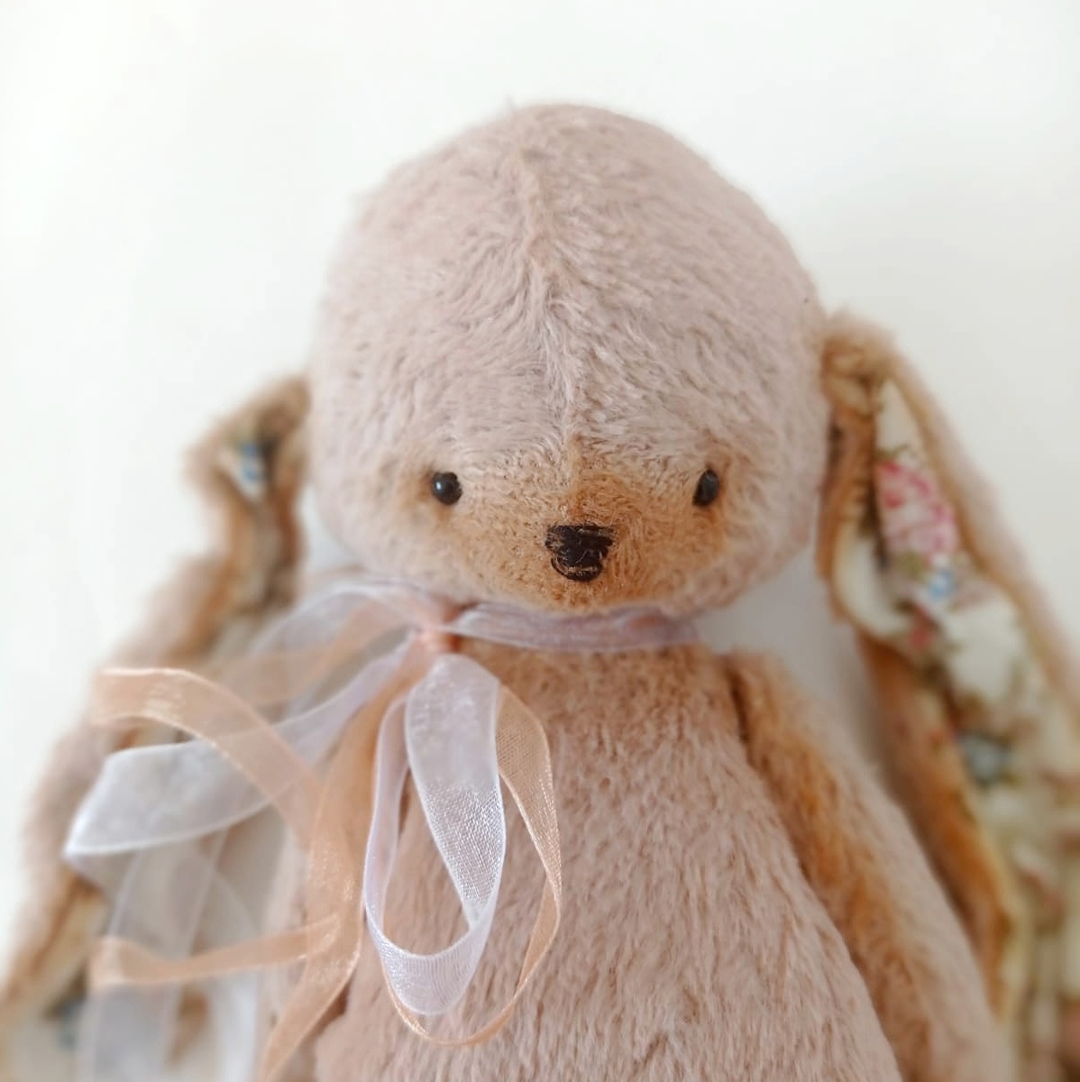 cottontail teddy