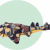 carpet shark plush toy