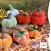 Herbstkürbisse English Crochet Pattern