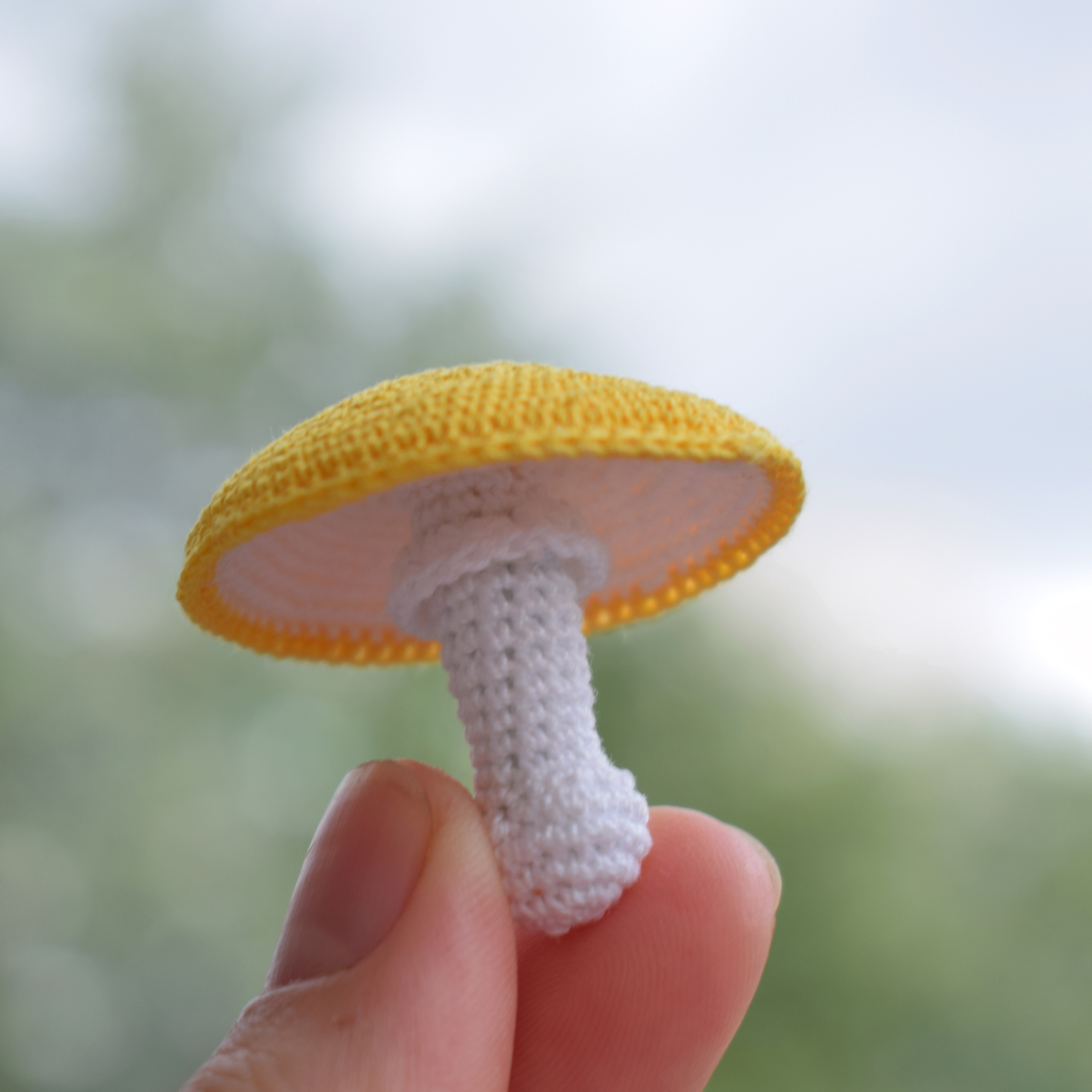 Mushrooms crochet pattern, fake food, 7 fly agaric beautiful
