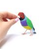 Gouldian-Finch-interior-toy-bird