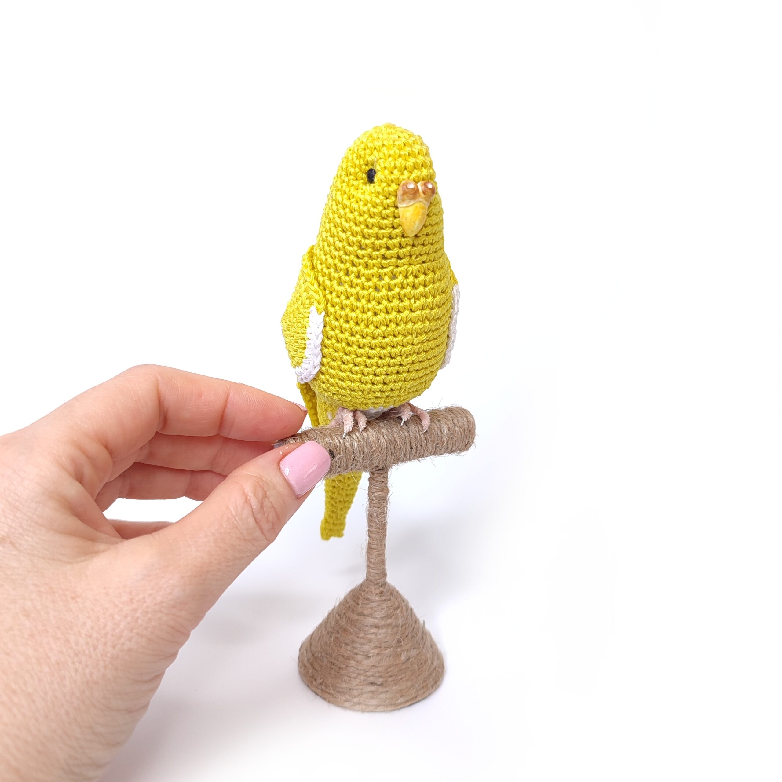 IMG_20220520_082848-02 Yellow budgie