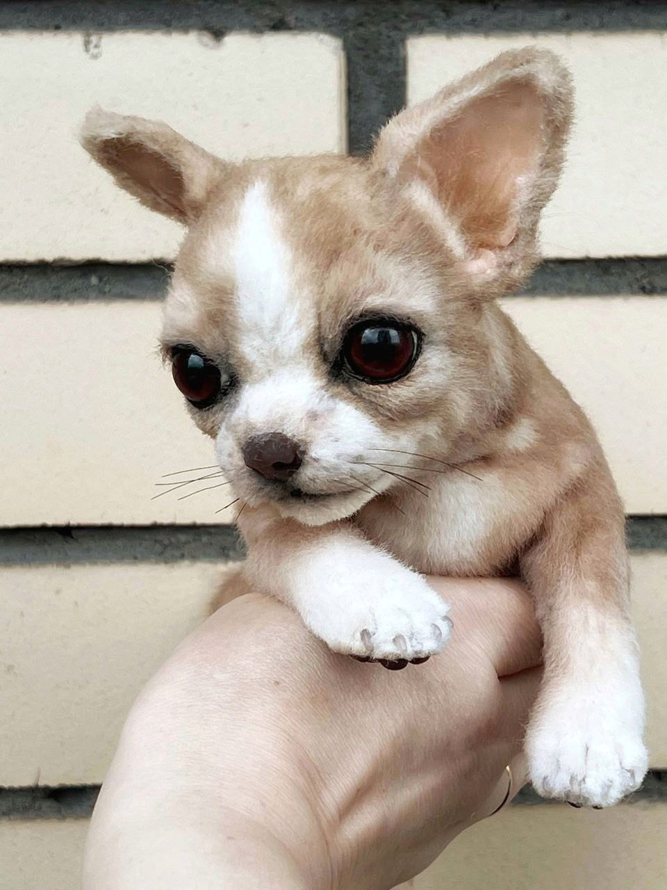 OOAK Cute Little Baby Chihuahua Puppy Dog Puppy Artist Handmade