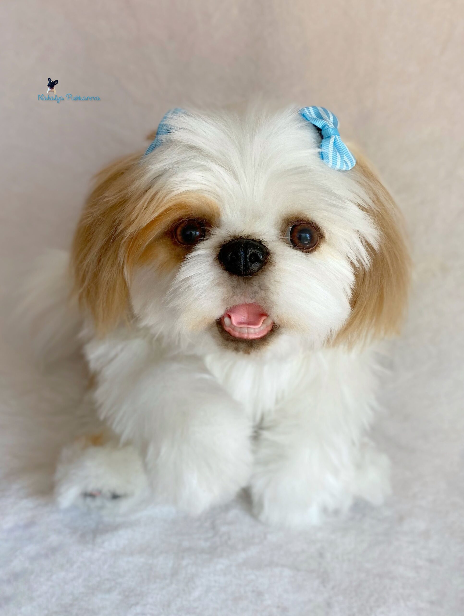 Custom order realistic toy Dog shih tzu - DailyDoll Shop