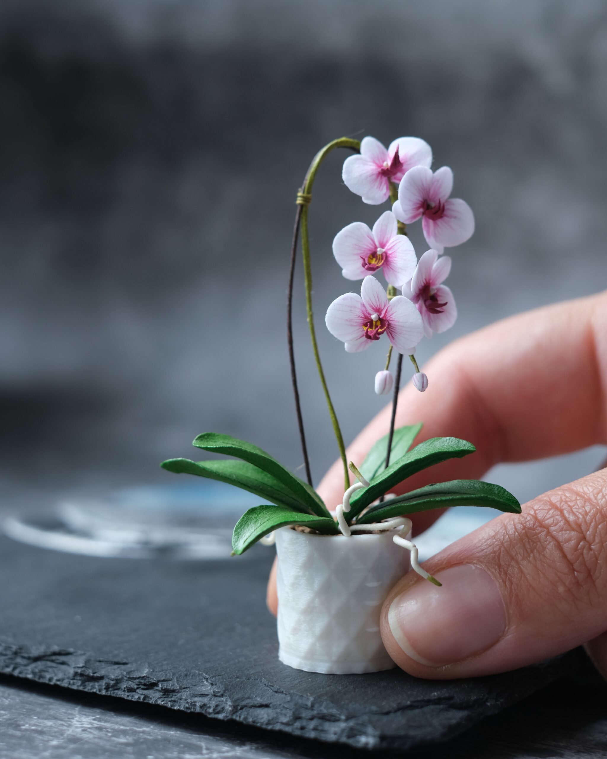 Pot De Fleurs Miniature Pour Maison De Poupée : 5 Pièces Mini