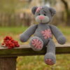 Cute teddy bear Teddy