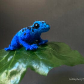 Blue frog